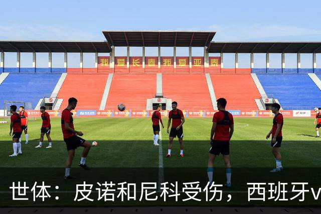世体：皮诺和尼科受伤，西班牙vs奥地利时加维有望获得出场机会